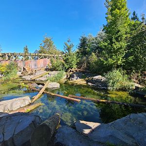 Nortica - Northern raccoon and Striped skunk enclosure