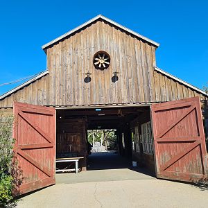 Nortica - Back of the sawmill