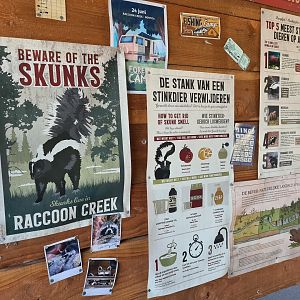 Nortica - Theming and signage