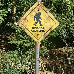 Nortica - Themed signage