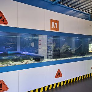 Nortica aquarium - A1 (Big tank)