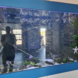 Nortica aquarium - A2 (Tide pool tank)