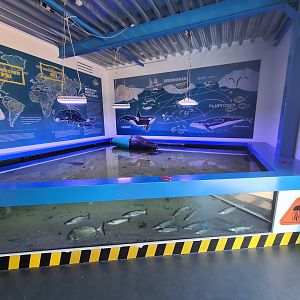 Nortica aquarium - A3 (Seabottom tank)