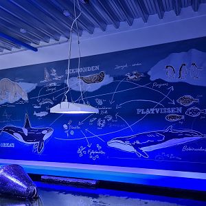 Nortica aquarium - Food chain mural