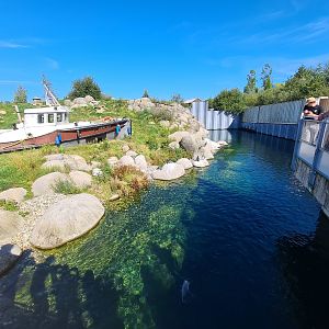 Nortica - Humboldt penguin enclosure