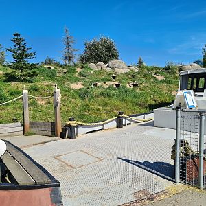 Nortica - Boat viewing platform into penguin enclosure