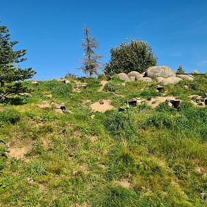 Nortica - Humboldt penguin land area