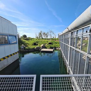 Nortica - Second Polar bear enclosure