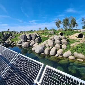 Nortica - First Polar bear enclosure