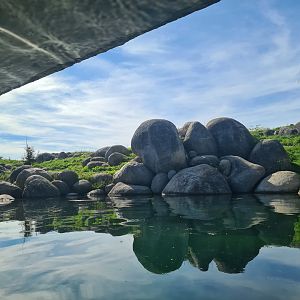 Nortica - Polar bear enclosure from underwater area