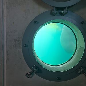 Nortica - Second Polar bear enclosure underwater viewing