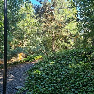 Nortica - Snowy owl enclosure