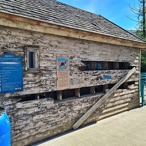 Nortica - Brown rat enclosure