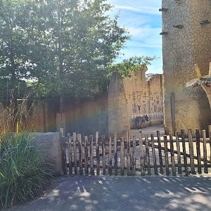 Serenga - First viewing of Miniature donkey yard