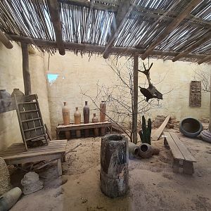 Serenga - Dwarf mongoose enclosure