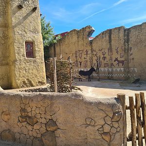 Serenga - Other side of Miniature donkey yard