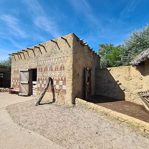 Serenga - Goat walkthrough in Dogon village