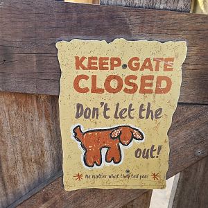 Serenga - Funny sign in Domestic goat walkthrough