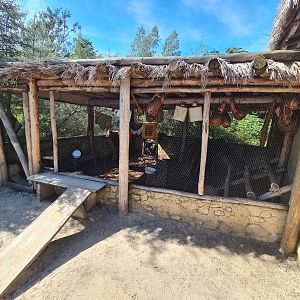 Serenga - Chicken coop in Dogon village