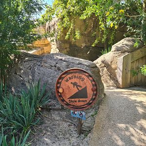 Serenga - Adventure path to Hippo viewing area