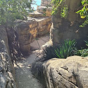 Serenga - Adventure path to Hippo viewing area