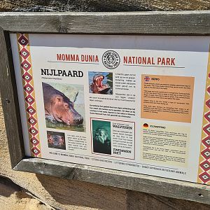 Serenga - Common hippopotamus signage