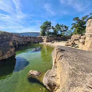 Serenga - Hippo enclosure