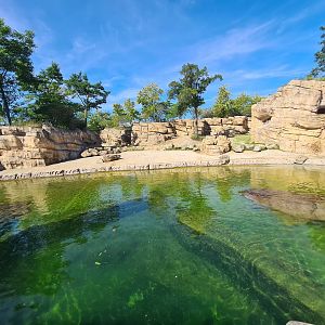 Serenga - Hippo enclosure