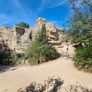 Serenga - Path toward Hippo underwater viewing