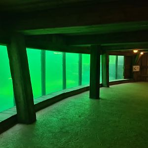 Serenga - Hippo underwater viewing gallery