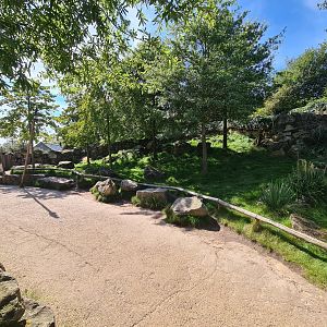 Serenga - Swamp wallaby walkthrough