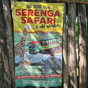 Serenga - Serenga Safari signage