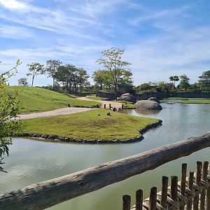 Serenga - View of Serenga Safari paddock