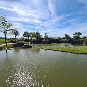 Serenga - View of Serenga Safari paddock
