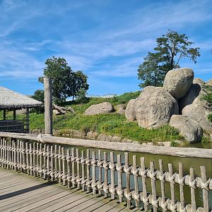 Serenga - Lion Kopje enclosure