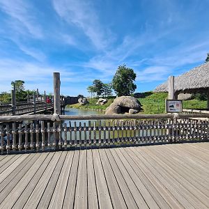 Serenga - Lion Kopje enclosure