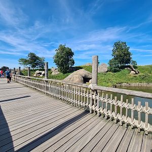 Serenga - Lion Kopje viewing area