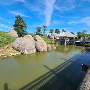 Serenga - Lion Kopje viewing area