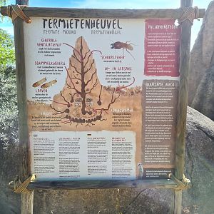 Serenga - Termite hill signage