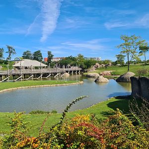 Serenga - Serenga Safari yard