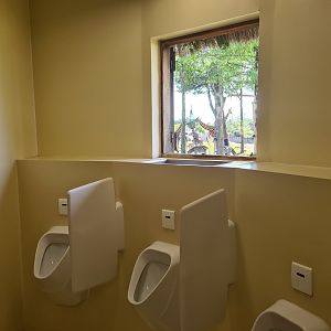 Serenga - View of Serenga Safari from toilets