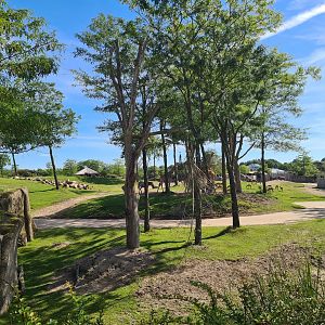 Serenga - Serenga Safari yard