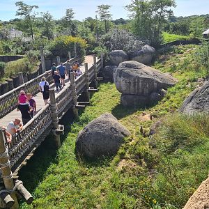Serenga - Meerkat enclosure