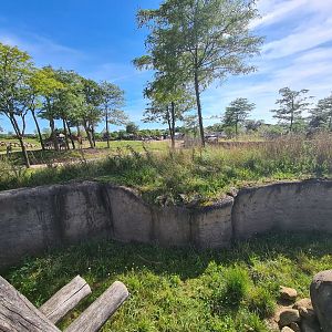 Serenga - Separation between Meerkat enclosure and Safari yard
