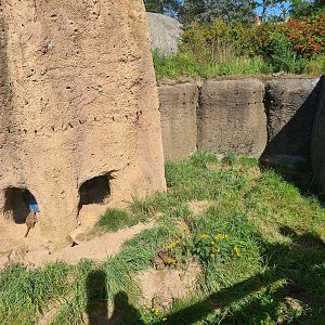 Serenga - Meerkat lower viewing area