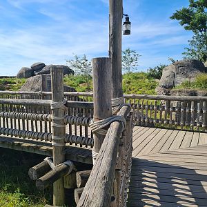 Serenga - Meerkat viewing bridge