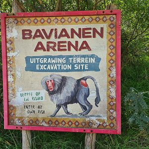 Serenga - Baboon arena signage