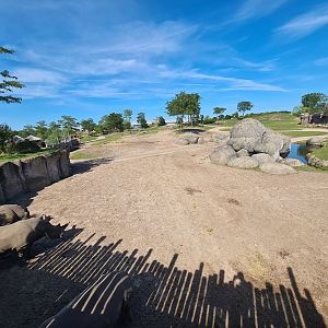 Serenga - Serenga Safari