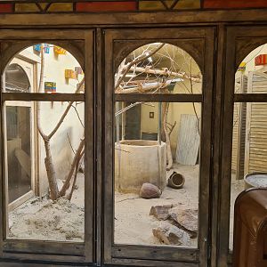 Serenga - Lovebird and Quail enclosure within Momma's restaurant
