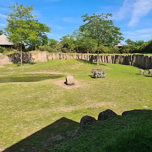 Serenga - Serenga Safari